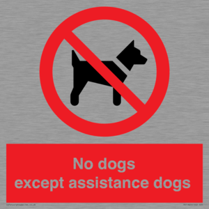 No dogs except assistance dogs